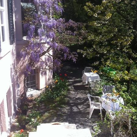 Garden Studio Apartment Zuerichberg 部屋 写真