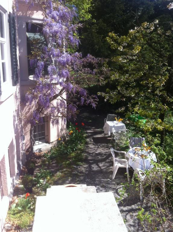 Garden Studio Apartment Zuerichberg 部屋 写真