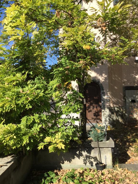 Garden Studio Apartment Zuerichberg エクステリア 写真