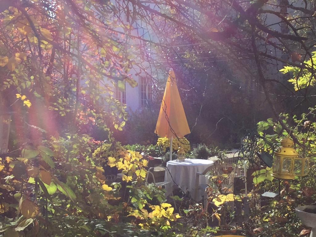 Garden Studio Apartment Zuerichberg エクステリア 写真
