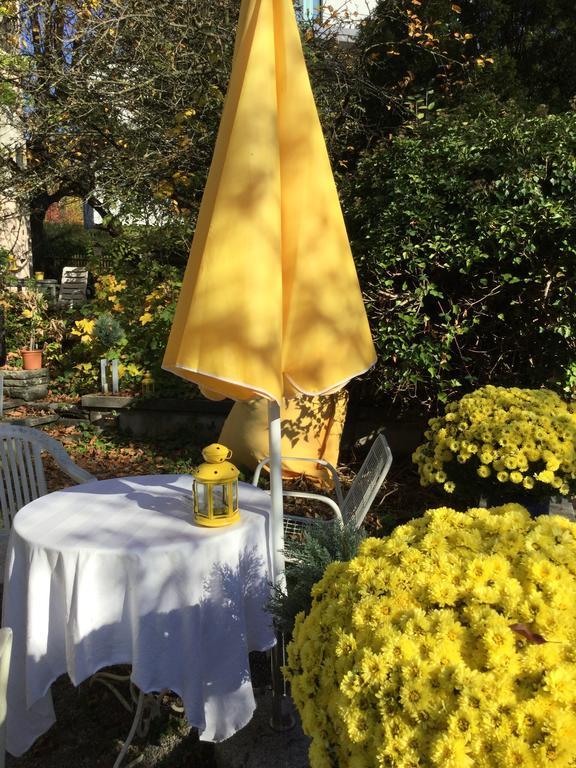 Garden Studio Apartment Zuerichberg エクステリア 写真