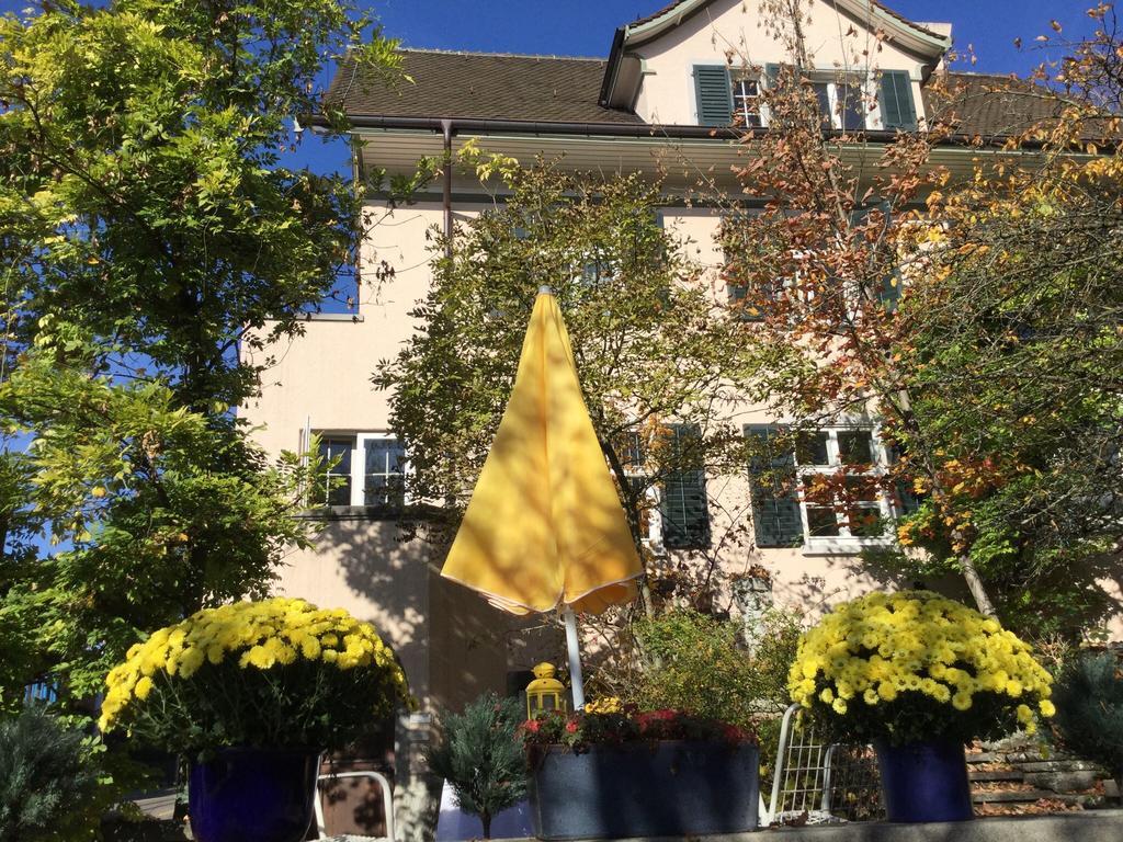 Garden Studio Apartment Zuerichberg エクステリア 写真