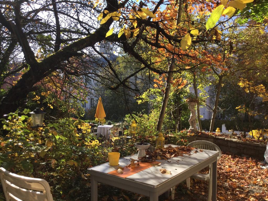 Garden Studio Apartment Zuerichberg エクステリア 写真