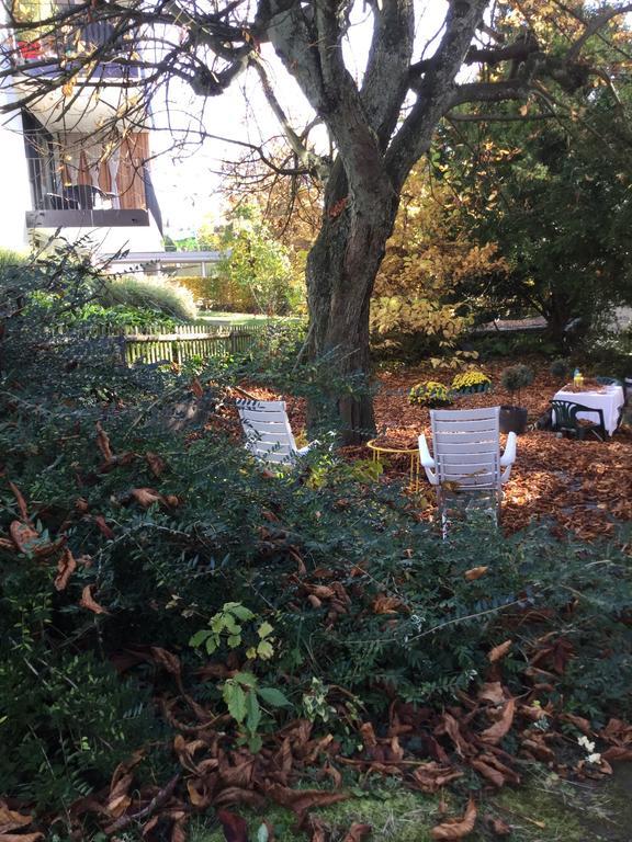 Garden Studio Apartment Zuerichberg エクステリア 写真